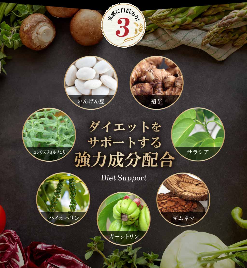 ポイント3 ダイエットをサポートする強力成分配合「菊芋」「サラシア」「ギムネマ」「ガーシトリン」「バイオペリン」「コレウスフォルスコリ」「いんげん豆」