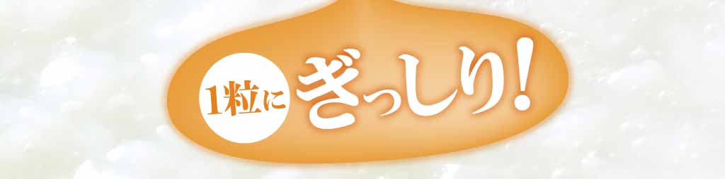 1粒にぎっしり!